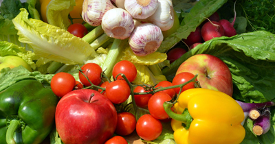 comprar semillas de flores vegetales polacas a granel