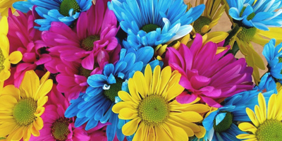 comprar semillas de flores vegetales polacas a granel